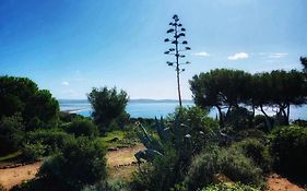 Appartement + terrasse vue mer dans un parc de 3 Ha